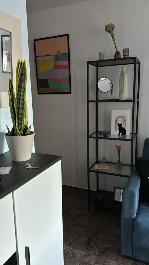 Playa De Los Naufragos Cozy Apartment With Pool Торевиеха Екстериор снимка
